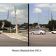 Illustration for article titled Identify This Truck And Help Catch A Hit-And-Run Driver Who Nearly Killed An Elderly Florida Woman